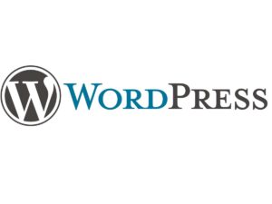 WordPress logo on white background - A stylized letter W in white with black circle enclosing it and the word 'Word' in blue and "PRESS' in black, representing the widely popular content management system.