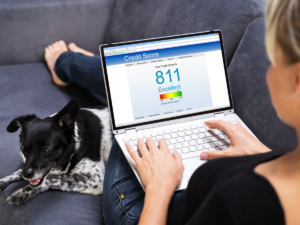 Image of a woman sitting in front of her laptop, discussing how to improve credit score by waiting for hard inquiries to fall off and ways to expedite the process, such as requesting to remove hard inquiries.